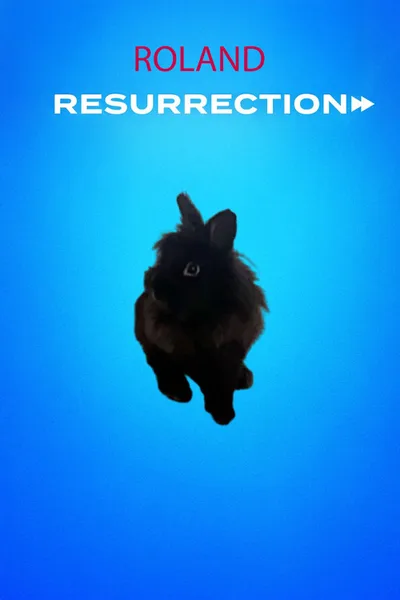 Roland: Resurrection poster