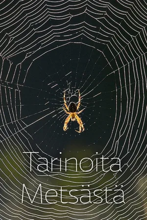 Tarinoita metsästä poster