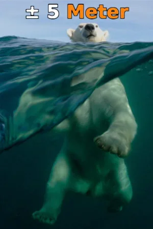 À + ou - 5 mètres de la surface des océans poster