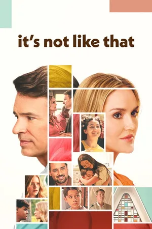 It's Not Like That poster