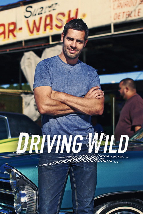 Driving Wild poster