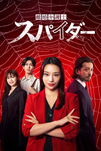 Divorce Lawyer Spider poster