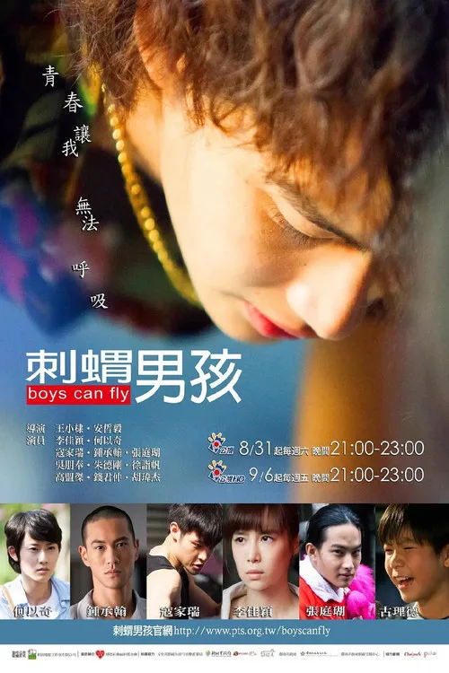 Boys Can Fly poster