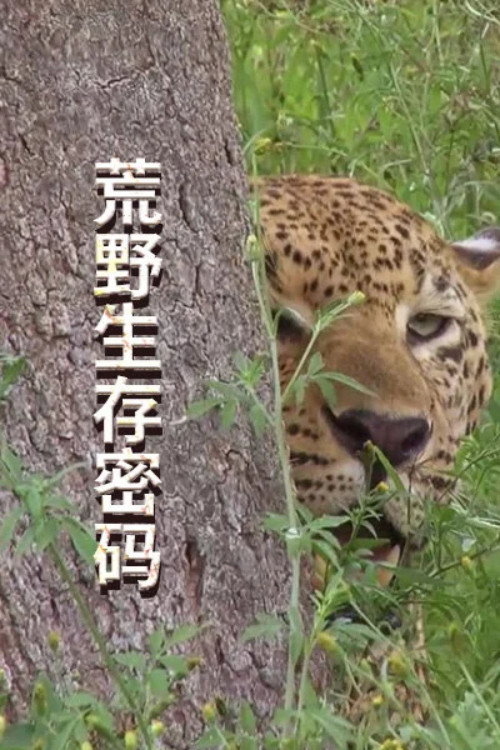 Survive the Wild poster