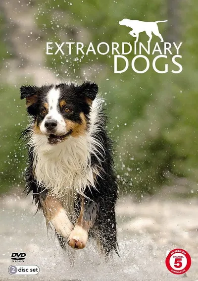 Extraordinary Dogs poster