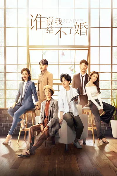 Shei shuo wo jie bu liao hun poster