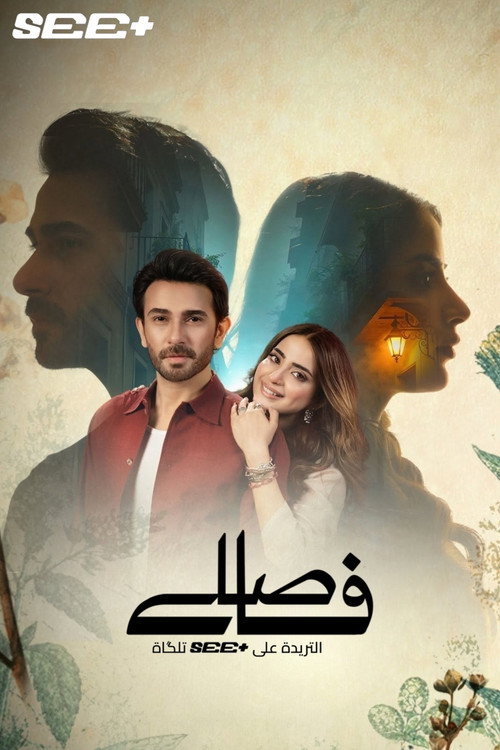 Faaslay poster