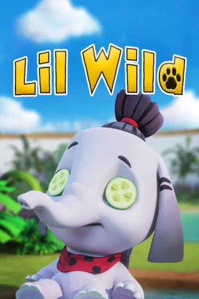 Lil Wild poster