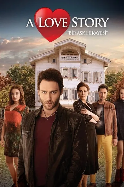 Bir Ask Hikayesi poster