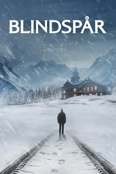 Blind Spot poster