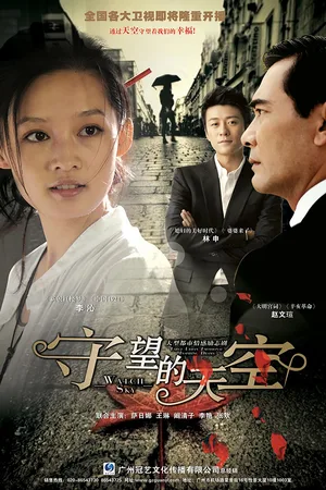 Shouwang de tiankong poster