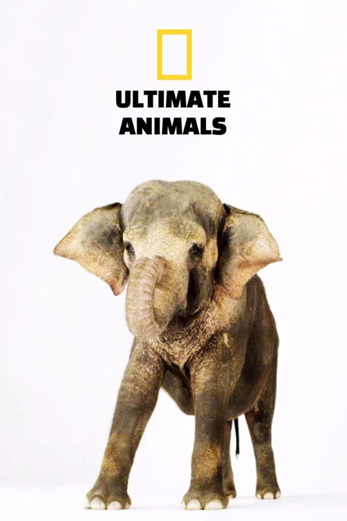 Ultimate Animals poster