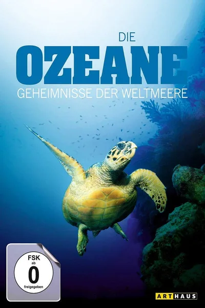 Macht der Wunder - Die Geheimnisse des Vatikans poster