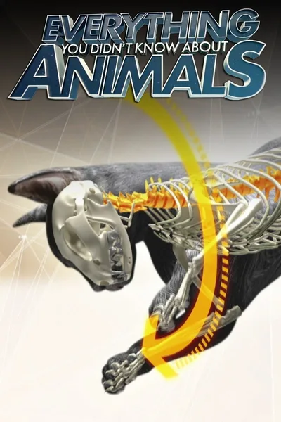 Everything You Didn't Know About Animals poster