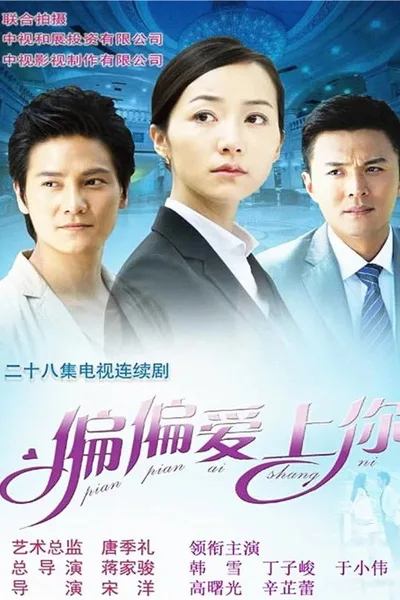 Fall in Love with You poster