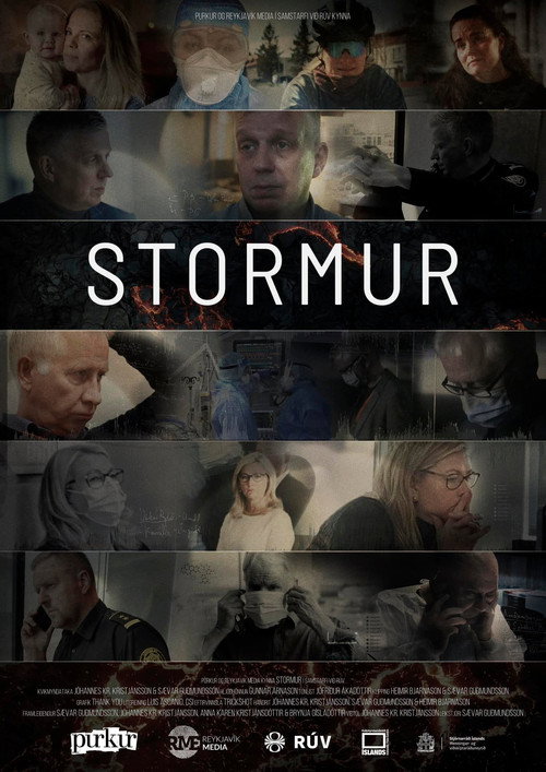 Stormur poster