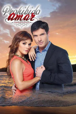 Prohibido amar poster