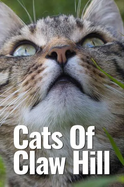 Cats of Claw Hill poster