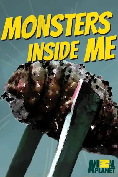 Monsters Inside Me poster