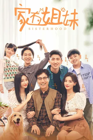 Jia you jie mei poster