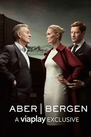 Aber Bergen: Partners in Law poster