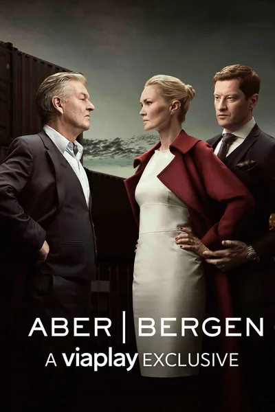Aber Bergen: Partners in Law poster