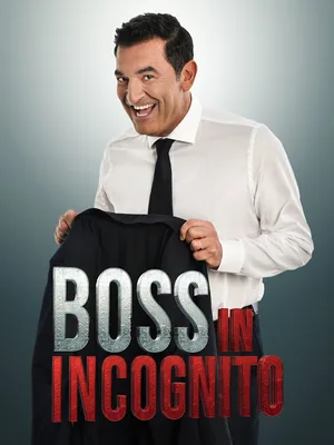 Boss in incognito poster