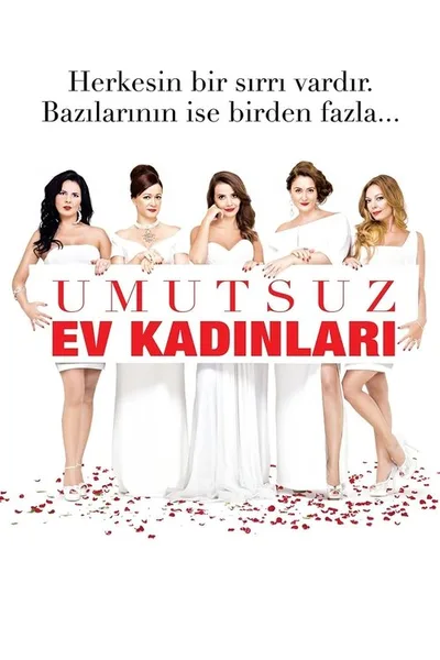 Umutsuz Ev Kadinlari poster