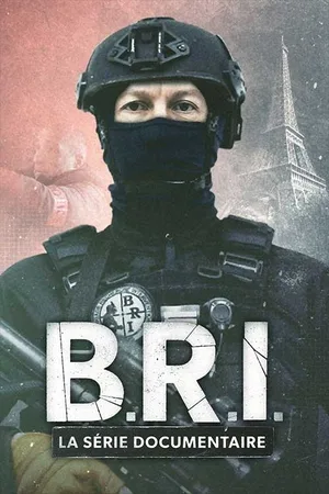 B.R.I. La série documentaire poster