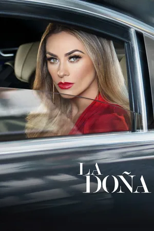 Lady Altagracia poster