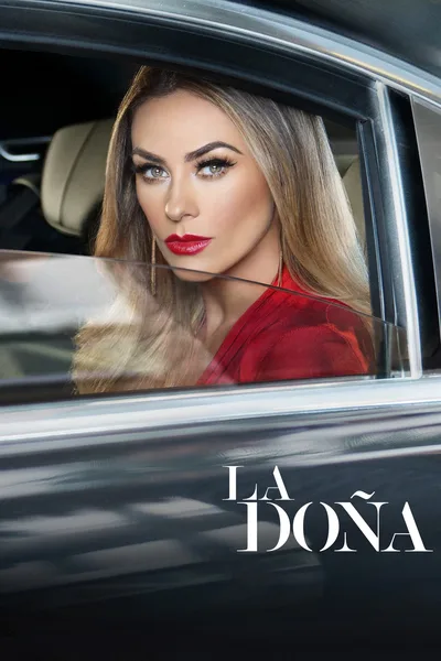 Lady Altagracia poster