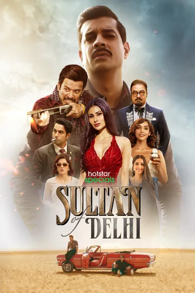Sultan of Delhi poster