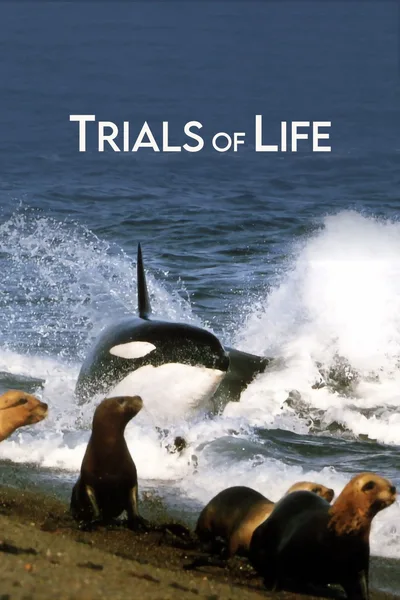 The Trials of Life poster