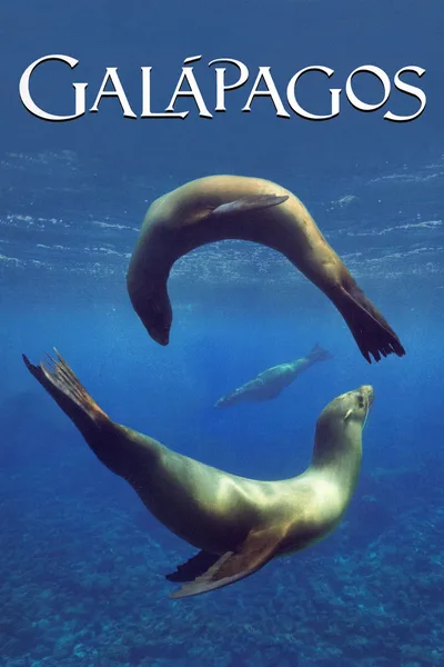Galapagos poster