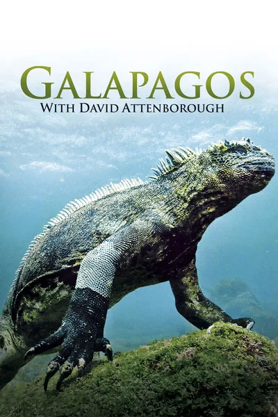 Galapagos 3D poster