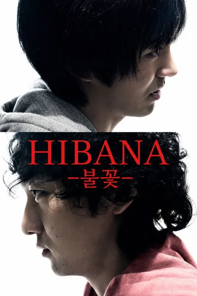 Hibana poster