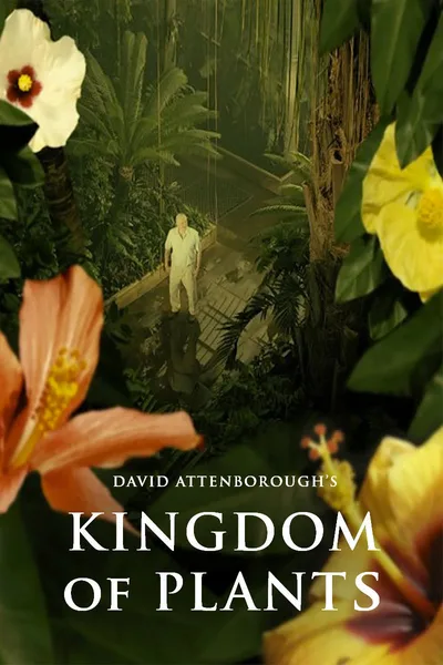 Kingdom of Plants 3D poster