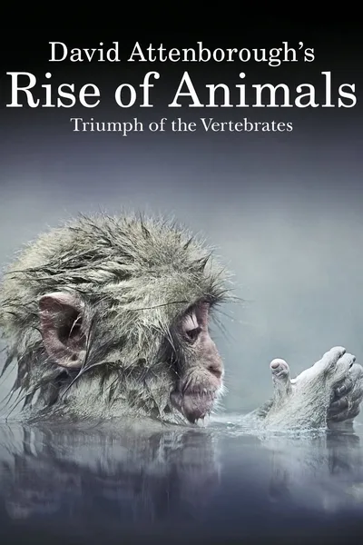 Rise of Animals: Triumph of the Vertebrates poster