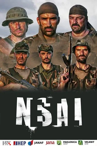 Nestali poster