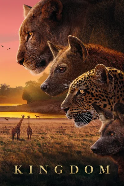 Kingdom poster