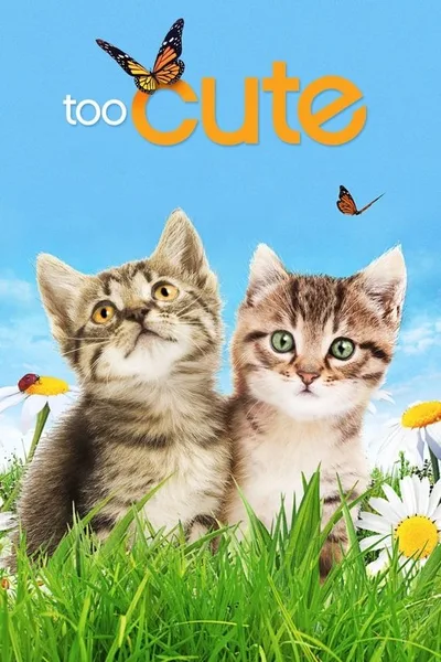 Too Cute! poster