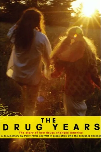 The Drug Years poster