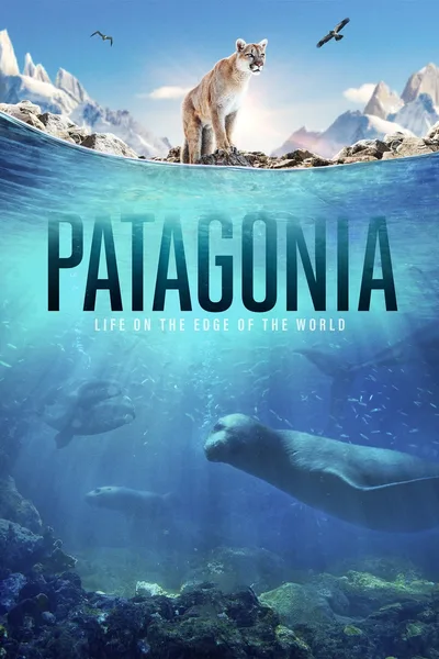 Patagonia poster