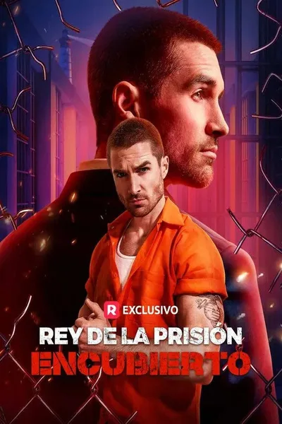 Undercover Prison King poster