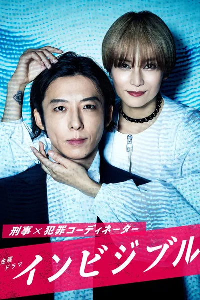 Invisible poster