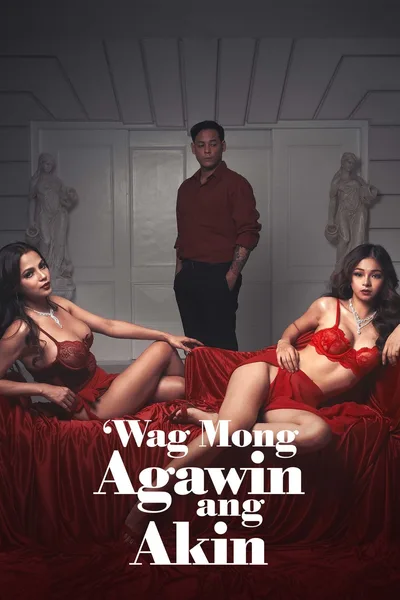 Wag Mong Agawin Ang Akin poster