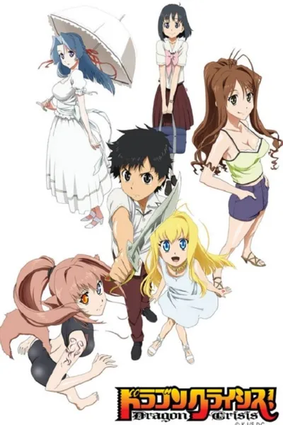 Dragon Crisis! poster