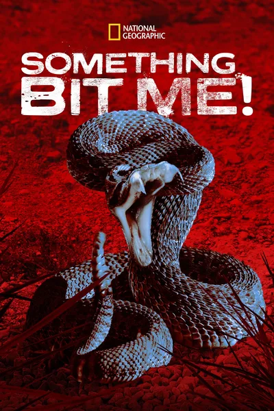 Something Bit Me poster