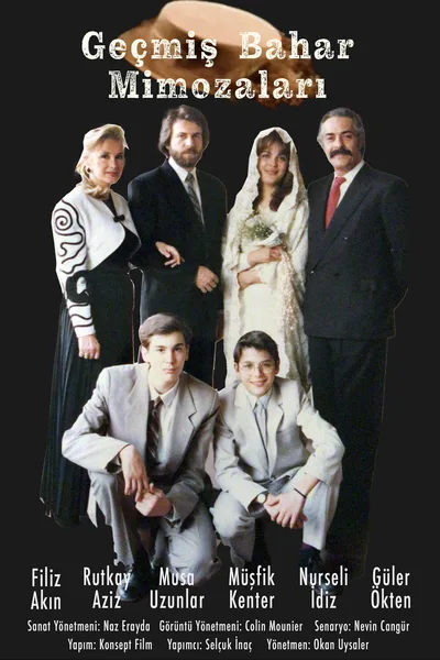 Geçmis Bahar Mimozalari poster