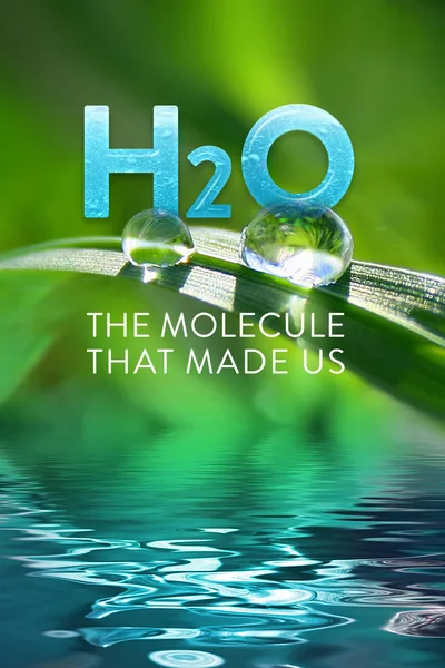 H20: The Molecule That Made Us poster